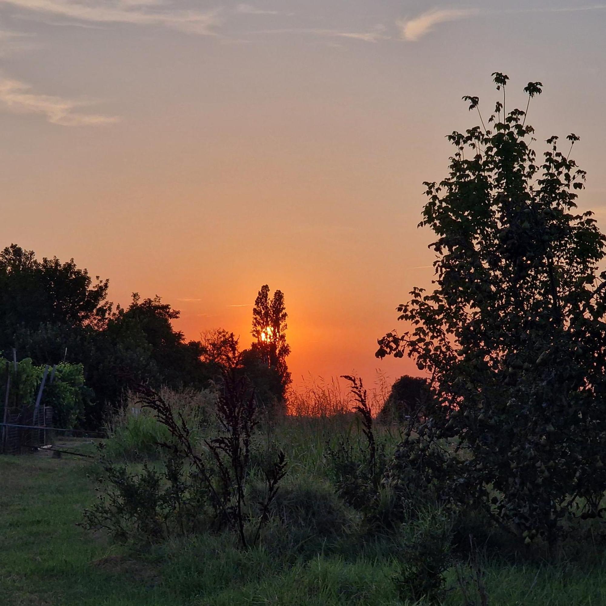 Altedo Appartamento Divino Tramonto מראה חיצוני תמונה